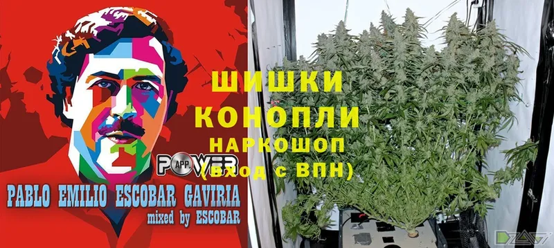 где найти   Ревда  МАРИХУАНА THC 21% 